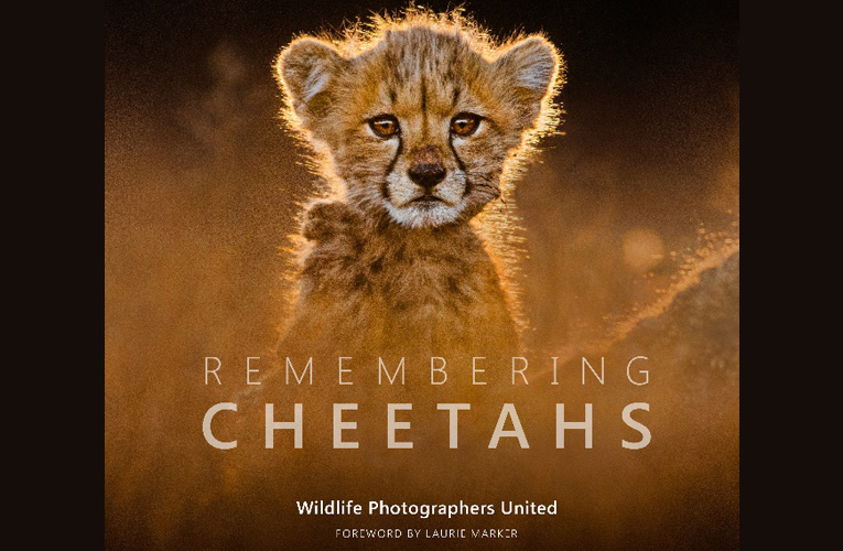 Wildlife photography book, Remembering Cheetahs to launch in October