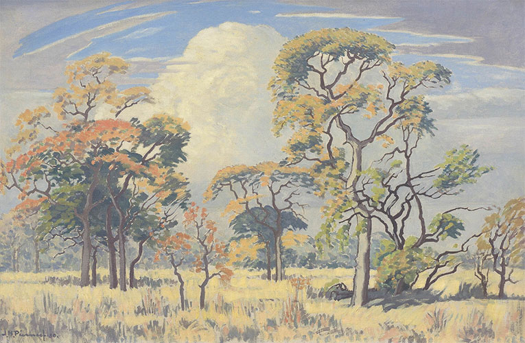 Focussing on the art times and career of Pierneef