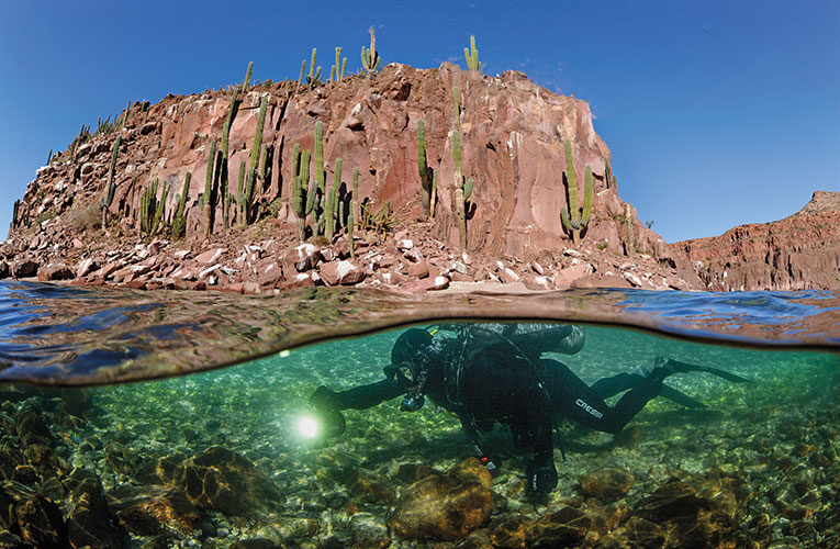 Photographic Essay: The beauty and fragility of underwater life brought to surface