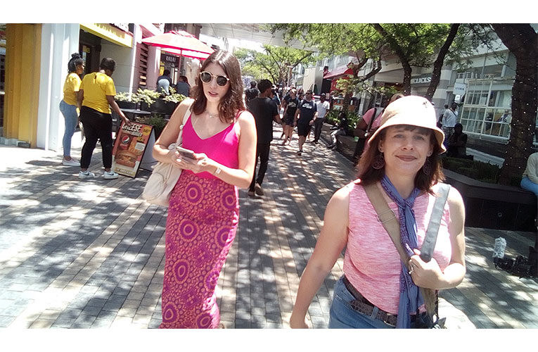 Capturing the beauty of blooming Jacaranda trees on camera in the streets of Pretoria