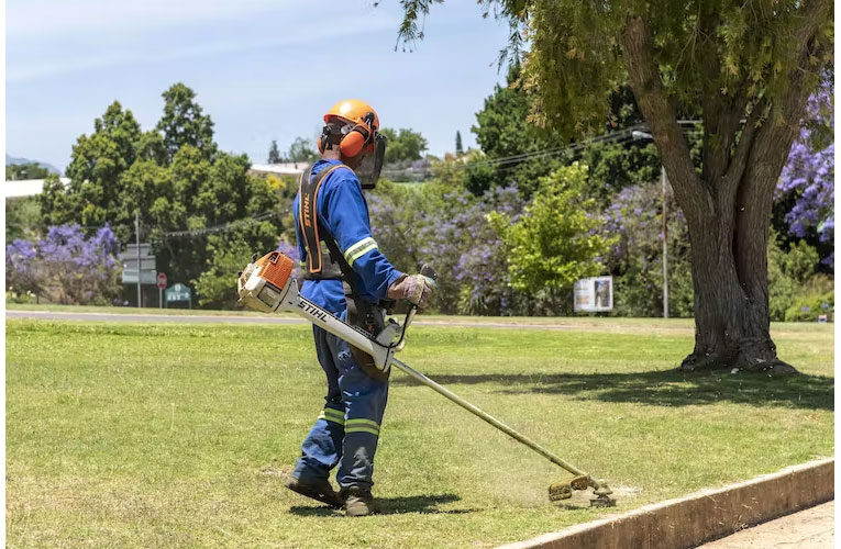 Crime is lower when cities are greener: evidence from South Africa supports the&nbsp;link