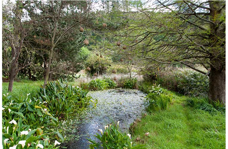 Viewing art in the midst of natural wonders at Elgin Open Gardens