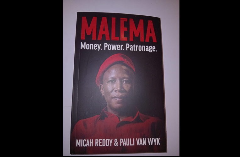 If you are a Julius Malema fan read this book to make an informed decision about the politician