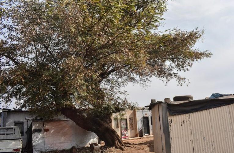 Young women photographers of Merafe Hostel in Soweto capture both their grim existence and an imagined better future