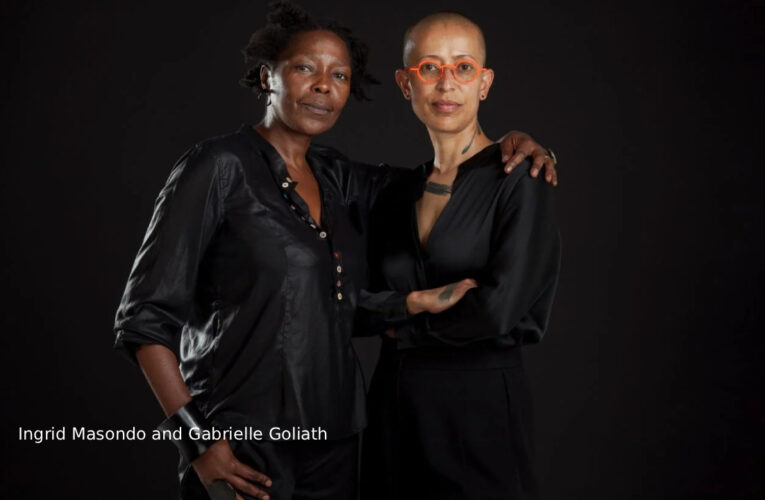 Court ruling against artist Gabriele Goliath in Venice Biennale case against Minister McKenzie leaves the art community disappointed